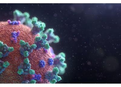 ناقلان اصلی کروناویروس چه کسانی هستند؟